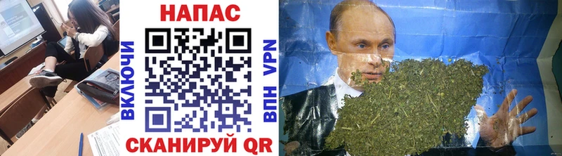 Где купить Джанкой Кокаин  Alpha-PVP  АМФ  МЕФ  Гашиш 