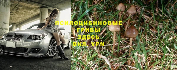 ALPHA PVP Алзамай