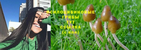 СК Алексеевка