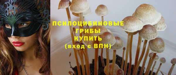 мескалин Приозерск
