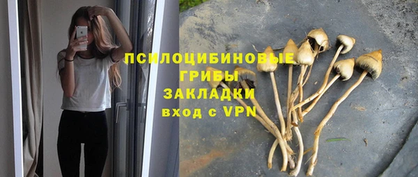 ALPHA PVP Алзамай