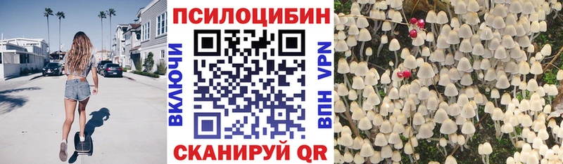Псилоцибиновые грибы Psilocybine cubensis  наркота  Джанкой 